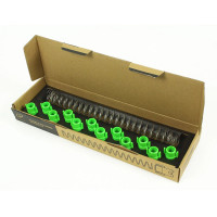 Пружины Planet Eclipse DTM-20 Spring & Follower Kit for DYE 20rd  – 12 шт